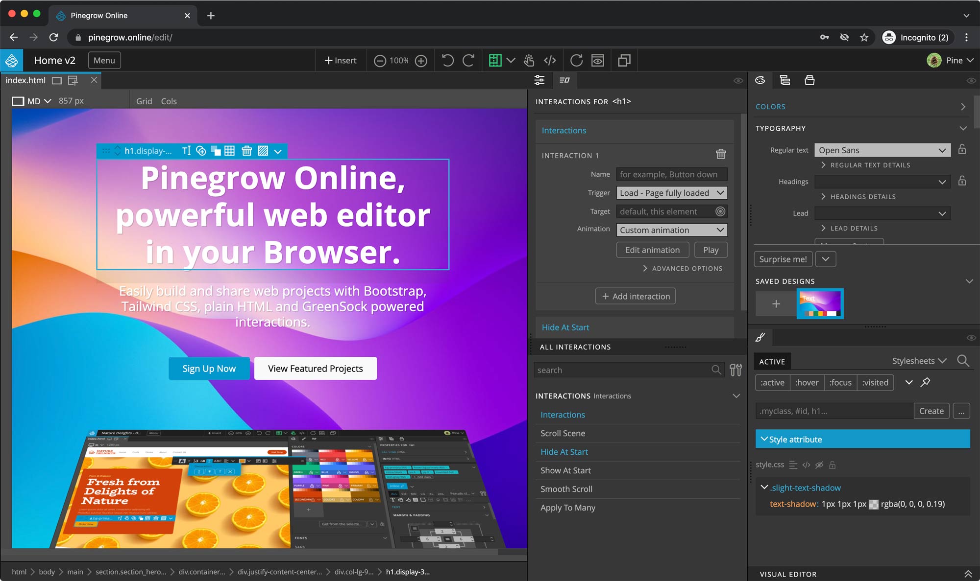 Web Editing